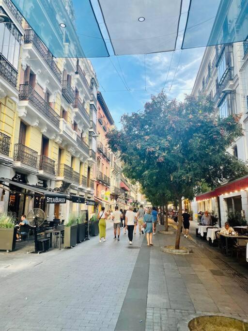 Apartamento In Downtown Madrid